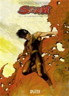 Don Lawrence, Marti Lodewijk, Martin Lodewijk - Storm - Bd.11: Storm 11. Im Labyrinth des Todes