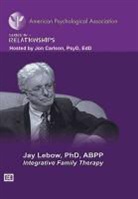American Psychological Association, Jay Lebow - Integrative Family Therapy