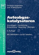 Danie Burch, Daniel Burch, Wolfgan Dörmer, Wolfgang Dörmer, Christia Hagelüken, Christian Hagelüken... - Autoabgaskatalysatoren