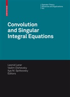 Leonid Lerer, Ilya M Spitkovsky, Vadi Olshevsky, Vadim Olshevsky, Ilya Spitkovsky, Ilya M. Spitkovsky - Convolution Equations and Singular Integral Operators