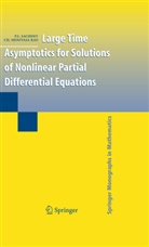 Ch. Srinivasa Rao, P Sachdev, P L Sachdev, P. L. Sachdev, P.l. Sachdev, Ch Srinivasa Rao... - Large Time Asymptotics for Solutions of Nonlinear Partial Differential Equations