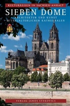 Claus-Pete Hasse, Gabriel Köster, Gabriele Köster, Hans Schulze, Hans K Schulze, János Stekovics... - Sieben Dome
