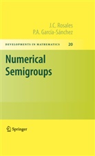 P. A. Garcia-Sanchez, P A García-Sánchez, P. A. García-Sánchez, J Rosales, J C Rosales, J. C. Rosales... - Numerical Semigroups