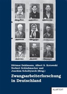 Dittmar Dahlmann, Albert Eßer, Manfred Grieger, Julia Hildt, Uwe Kaminsky, Norbert Schlossmacher... - Zwangsarbeiterforschung in Deutschland