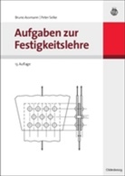 Assman, Brun Assmann, Bruno Assmann, Selke, Peter Selke - Aufgaben zur Festigkeitslehre
