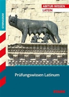 Thomas Golnik, Thomas J Golnik, Thomas J. Golnik - Prüfungswissen Latinum, für G8
