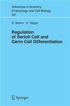 Brehm, R Brehm, R. Brehm, Ralph Brehm, Klaus Steger - Regulation of Sertoli Cell and Germ Cell Differentiation