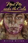 Silvio Sirias - Meet Me Under the Ceiba Tree