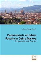 Esubalew Alehegn Tiruneh - Determinants of Urban Poverty in Debre Markos