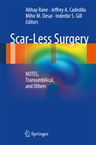 Jeffre A Cadeddu, Jeffrey A Cadeddu, Jeffrey A. Cadeddu, Mihir M Desai, Mihir M. Desai, Inderbir S. Gill... - Scar-Less Surgery