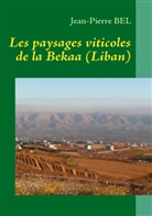 Jean-Pierre Bel - Les paysages viticoles de la Bekaa (Liban)