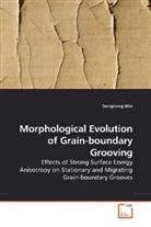 Donghong Min - Morphological Evolution of Grain-boundary Grooving