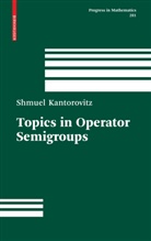 Shmuel Kantorovitz - Topics in Operator Semigroups
