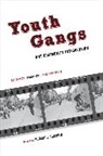 Robert Chaskin, Robert J. Chaskin, Robert Chaskin, Chaskin Robert - Youth Gangs and Community Intervention