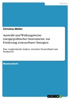 Christine Müller - Auswahl und Wirkungsweise energiepolitischer Instrumente zur Förderung erneuerbarer Energien
