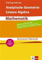 Training Intensiv: Analytische Geometrie, Lineare Algebra