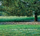 Roger Foley - The Contemporary Landscape