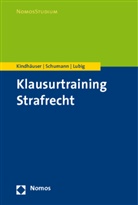 Urs Kindhäuser, Sebastian Lubig, Kay Schumann, Kay H. Schumann - Klausurtraining Strafrecht