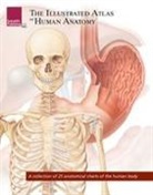 Scientific Publishing, Scientific Publishing, Various, Scientific Publishing - Illustrated Atlas of Human Anatomy