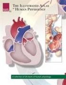 Scientific Publishing, Various, Scientific Publishing - Illustrated Atlas of Human Physiology