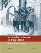 Herbert Brettl - Nationalsozialismus im Burgenland