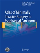 Miguel A. Cuesta, Shailesh Puntambekar, Cuesta, Cuesta, Miguel Cuesta, Miguel A. Cuesta... - Atlas of Minimally Invasive Surgery in Esophageal Carcinoma