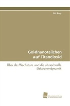 Nils Borg - Goldnanoteilchen auf Titandioxid