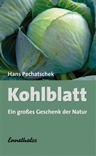 Hans Pechatschek - Kohlblatt