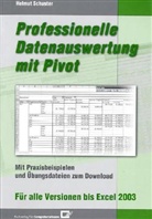 Helmut Schuster - Professionelle Datenauswertung mit Pivot