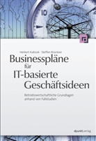 Steffe Brückner, Steffen Brückner, Herber Kubicek, Herbert Kubicek - Businesspläne für IT-basierte Geschäftsideen