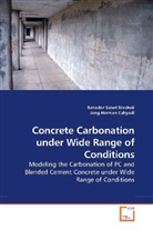 Bahador Sabet Divsholi - Concrete Carbonation under Wide Range of Conditions