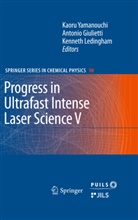 Antoni Giulietti, Antonio Giulietti, Ledingham, Ledingham, Kenneth Ledingham, Kaoru Yamanouchi - Progress in Ultrafast Intense Laser Science