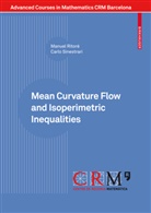 Manuel Ritore, Manue Ritoré, Manuel Ritoré, Carlo Sinestrari, Vicent Miquel, Vicente Miquel... - Mean Curvature Flow and Isoperimetric Inequalities