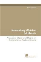 Pavel Saviankou - Anwendung effektiver Feldtheorie