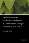 Cruz Consuelo, Consuelo Cruz, Cruz Consuelo - POLITICAL CULTURE AND INSTITUTIONA