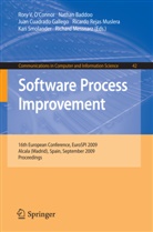 Nathan Baddoo, Juan Cuadrado Gallego, Juan J. Cuadrado-Gallego, Juan J Cuadrado-Gallego et al, Richard Messnarz, Ricardo Rejas Muslera... - Software Process Improvement