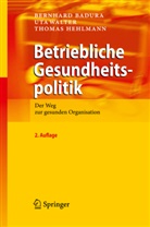 Badur, Bernhar Badura, Bernhard Badura, Hehlmann, Thomas Hehlmann, Walte... - Betriebliche Gesundheitspolitik