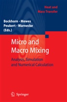 Vadym Aizinger, Henning Bockhorn, Jordan A. Denev, Jochen Fröhlich, Egon Hassel, Anna Racina... - Micro and Macro Mixing