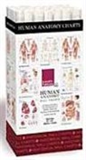Scientific Publishing, Publishing Scientific, Scientific Publishing, Various - Human Anatomy Charts -- 48 Chart Merchandiser