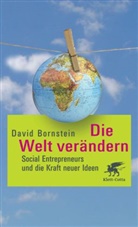 David Bornstein - Die Welt verändern