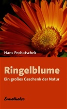 Hans Pechatschek - Ringelblume