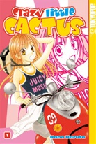 Nana Haruta, Elke Benesch - Crazy Little Cactus. Bd.1