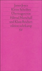 James Joyce - Kleine Schriften