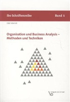 Götz Schmidt - Organisation und Business Analysis, Methoden und Techniken
