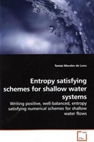 Tomás Morales de Luna - Entropy satisfying schemes for shallow water systems