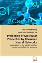 Carlo Giusepp Bertinetto, Carlo Giuseppe Bertinetto, Celi Duce, Celia Duce, Rob Solaro, Roberto Solaro - Prediction of Molecular Properties by Recursive Neural Networks