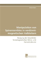 Simon Halm - Manipulation von Spinensembles in verdünnt-magnetischen Halbleitern