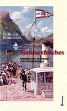 Wilhelm Brauneder - Sommerfrisches