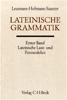 Johann B. Hofmann, Manu Leumann, Anton Szantyr - Handbuch der Altertumswissenschaft - Abt. 2 Teil 2,1: Lateinische Grammatik Bd. 1: Lateinische Laut-und Formenlehre. Tl.1