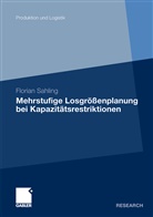 Florian Sahling - Mehrstufige Losgrößenplanung bei Kapazitätsrestriktionen